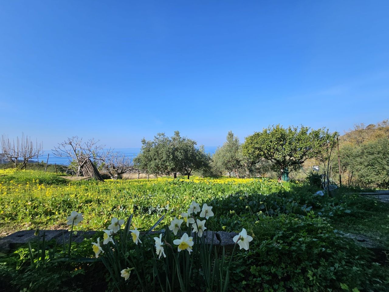 Квартира в Чирелле, Италия, 980 м² - фото 18