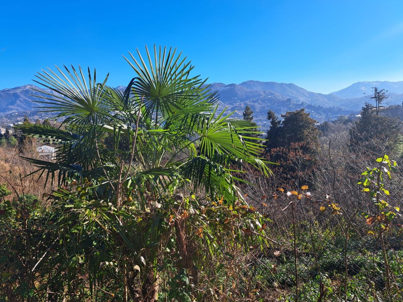 Дом в Батуми, Грузия, 80 м² - фото 4