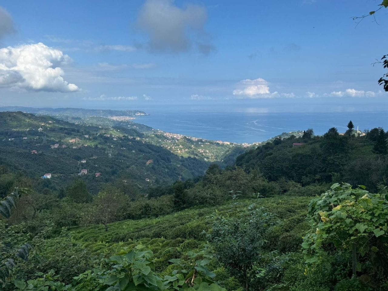 Дом в Трабзоне, Турция, 270 м² - фото 12