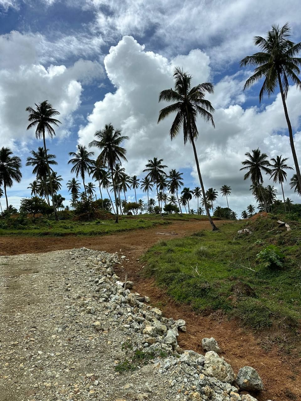 Земля в Самане, Доминиканская Республика, 3.5 сот. - фото 12