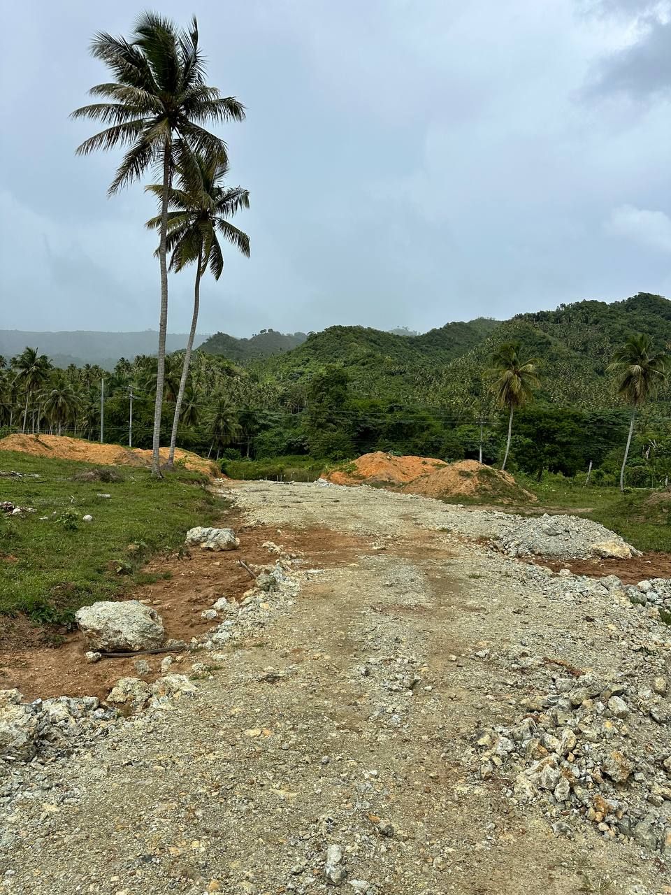 Земля в Самане, Доминиканская Республика, 3.5 сот. - фото 11