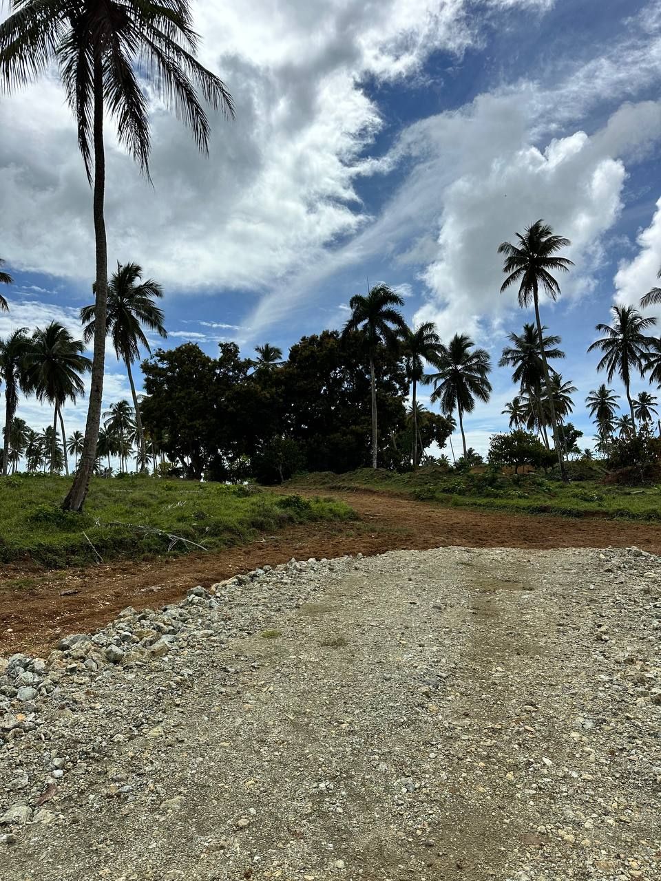 Земля в Самане, Доминиканская Республика, 3.5 сот. - фото 6