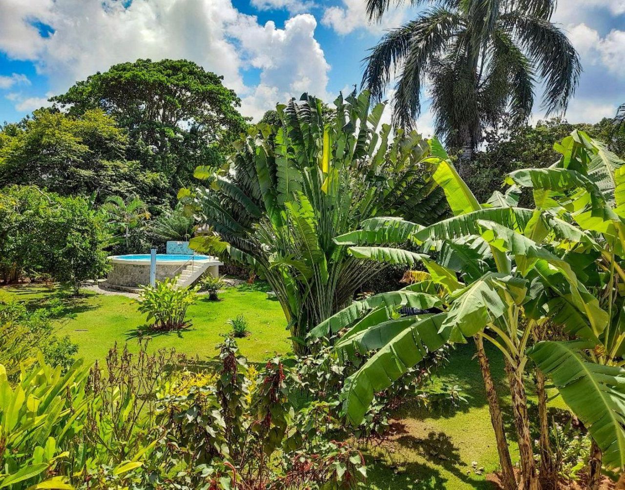 Отель, гостиница в Самане, Доминиканская Республика, 520 м² - фото 11