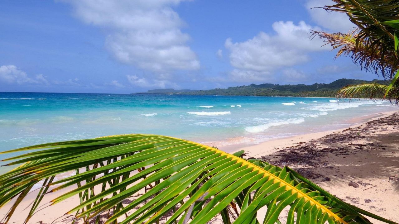 Отель, гостиница в Самане, Доминиканская Республика, 520 м² - фото 18