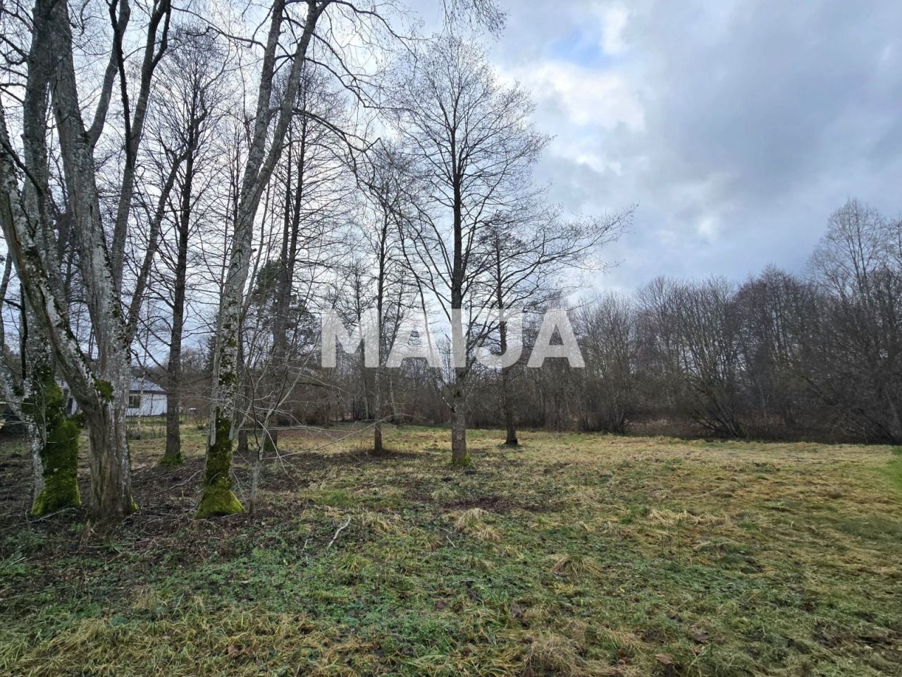 Земля Балдоне, Латвия, 3 920 м² - фото 3