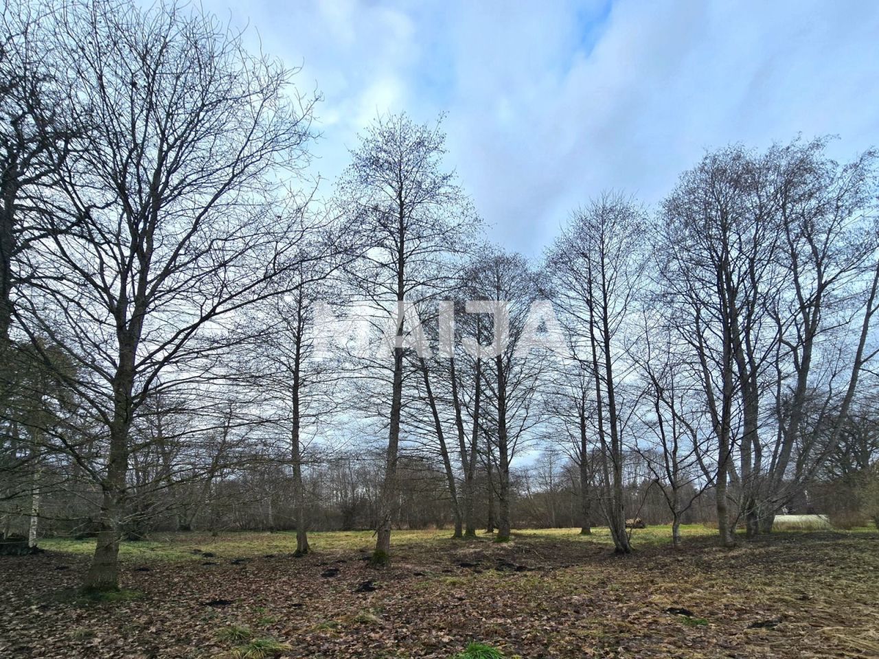 Земля Балдоне, Латвия, 3 920 м² - фото 4