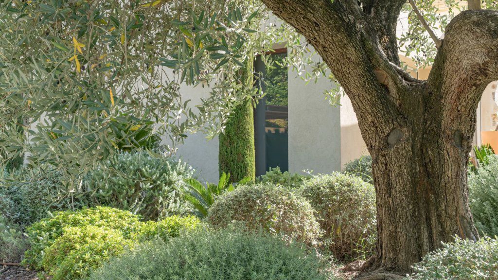 Вилла в Мужене, Франция, 248 м² - фото 4