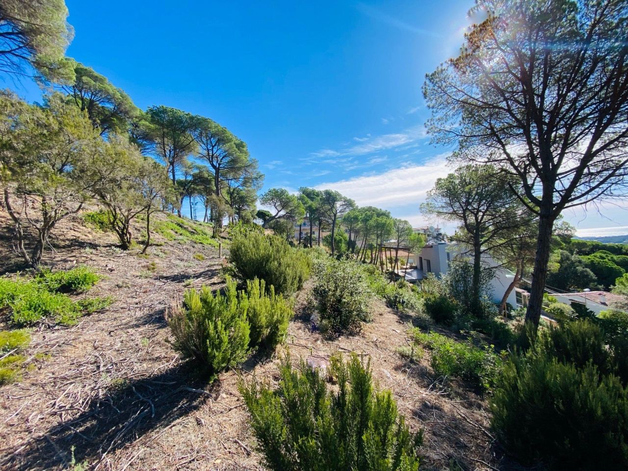 Дом на Коста-Брава, Испания, 340 м² - фото 5