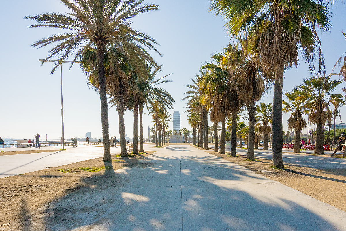 Квартира в Барселоне, Испания, 190 м² - фото 6