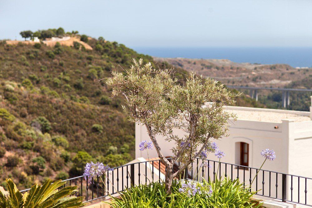 Таунхаус Испания, Испания, 215 м² - фото 8