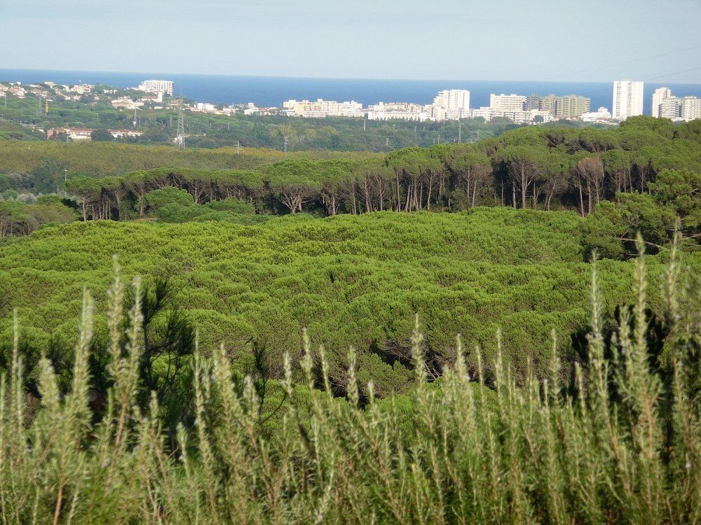 Дом на Коста-Брава, Испания, 750 м² - фото 9