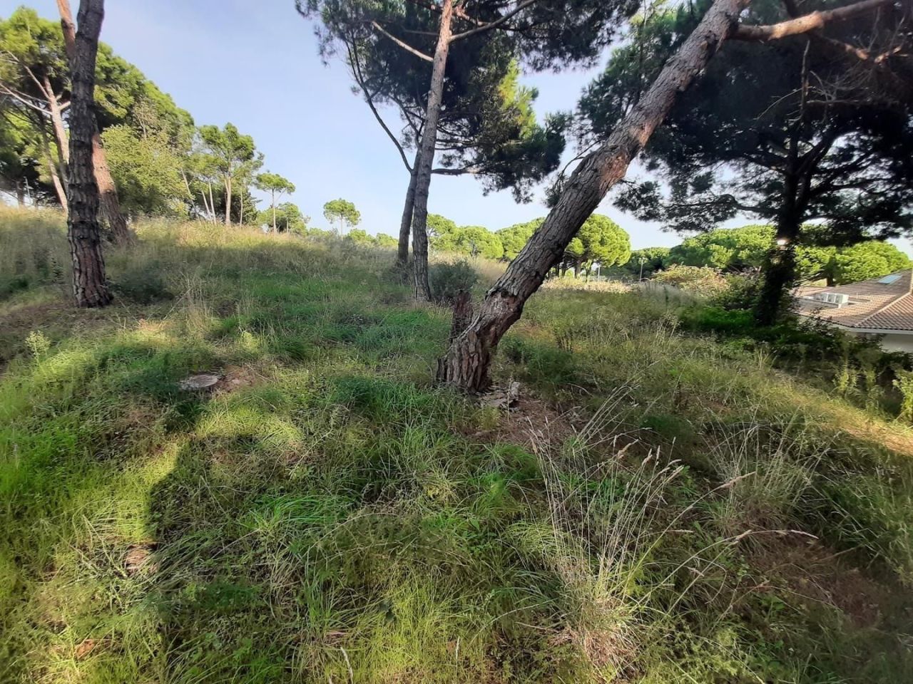 Дом на Коста-дель-Маресме, Испания, 600 м² - фото 10