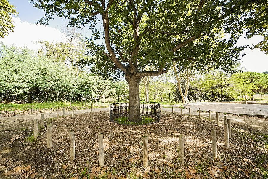 Таунхаус на Коста-дель-Маресме, Испания, 270 м² - фото 13