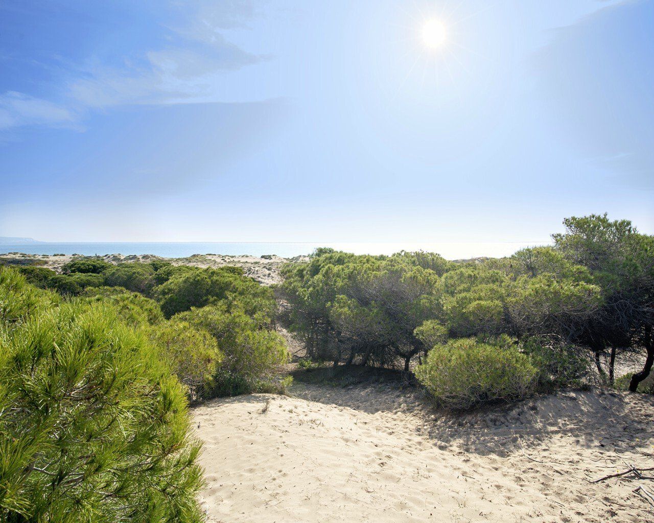 Квартира на Коста-Бланка, Испания, 86 м² - фото 17