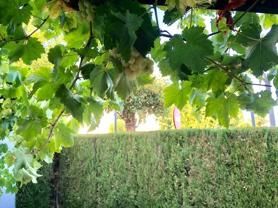 Дом Испания, Испания, 280 м² - фото 18