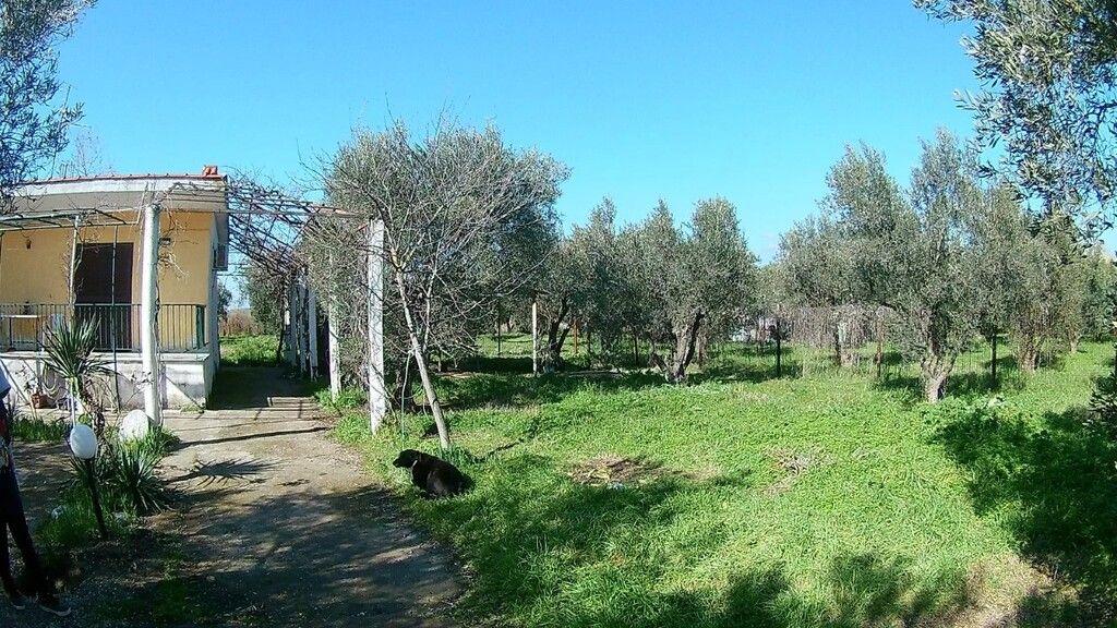 Дом в Ситонии, Греция, 120 м² - фото 5