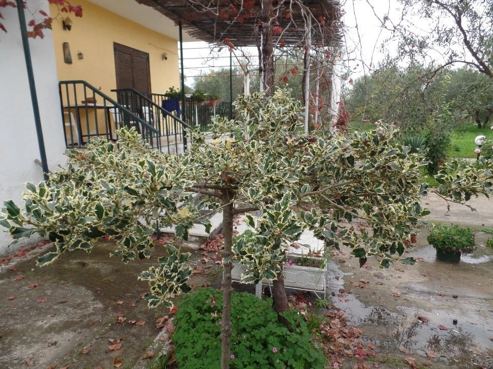 Дом в Ситонии, Греция, 120 м² - фото 9