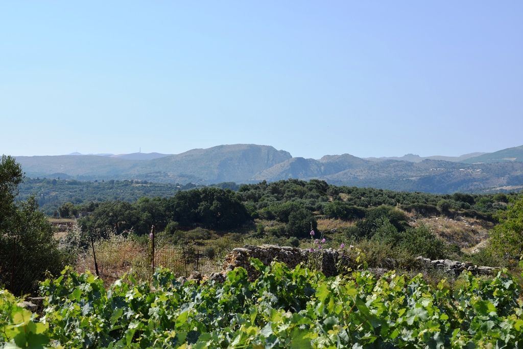 Земля в Ираклионе, Греция, 4 000 м² - фото 7