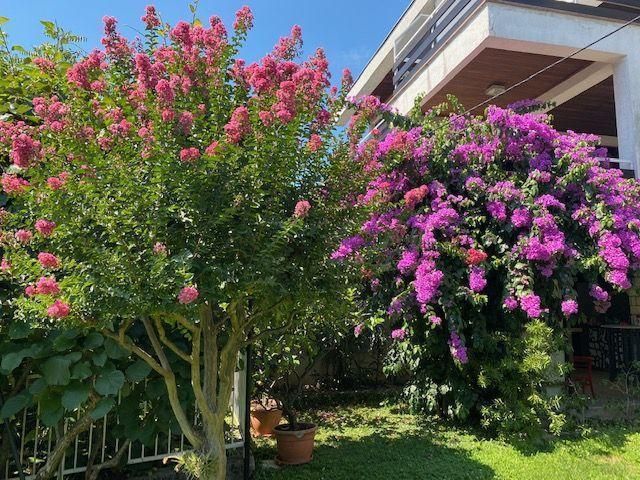 Вилла в Опатии, Хорватия, 350 м² - фото 4