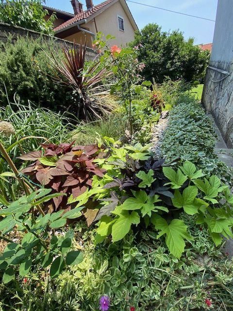 Вилла в Опатии, Хорватия, 350 м² - фото 8