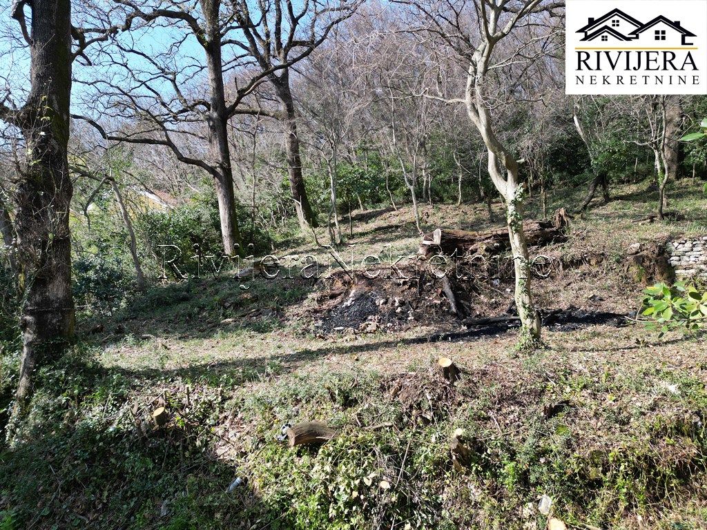 Земля в Херцег-Нови, Черногория, 4 032 м² - фото 13