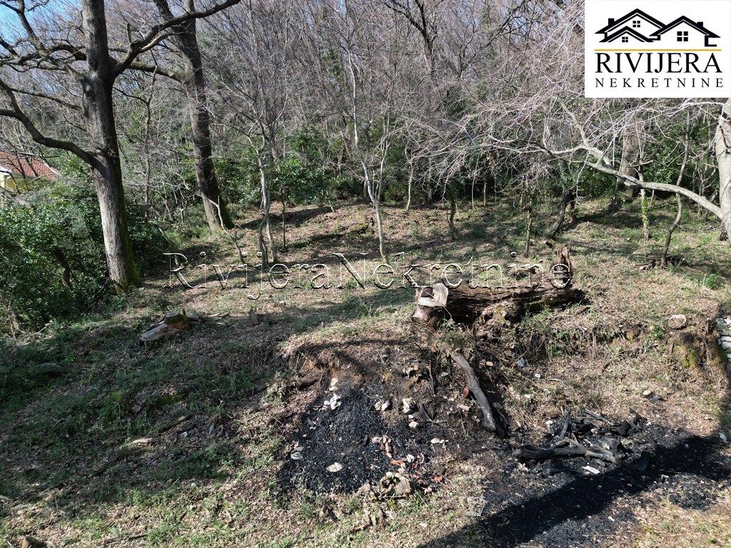 Земля в Херцег-Нови, Черногория, 4 032 м² - фото 14