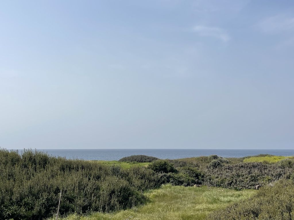 Земля в Пафосе, Кипр, 4 255 м² - фото 2