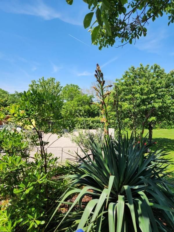 Вилла в Лабине, Хорватия, 96 м² - фото 5