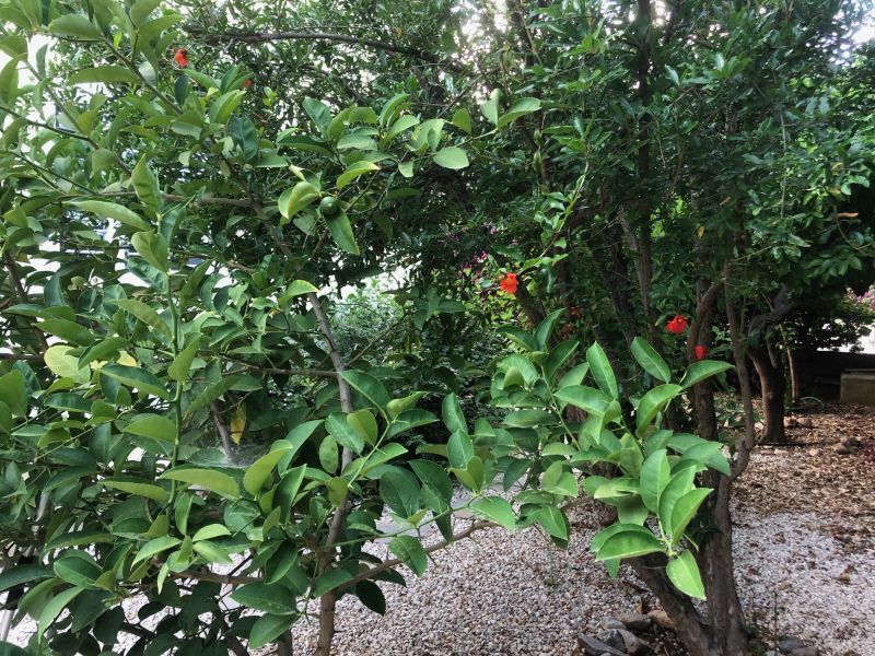 Вилла в Пафосе, Кипр, 150 м² - фото 6