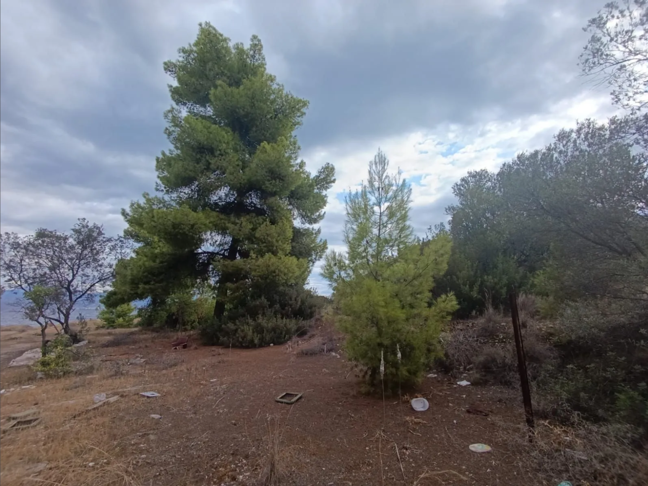 Земля в Коринфии, Греция, 4 820 м² - фото 2