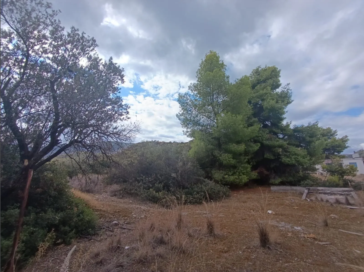 Земля в Коринфии, Греция, 4 820 м² - фото 6