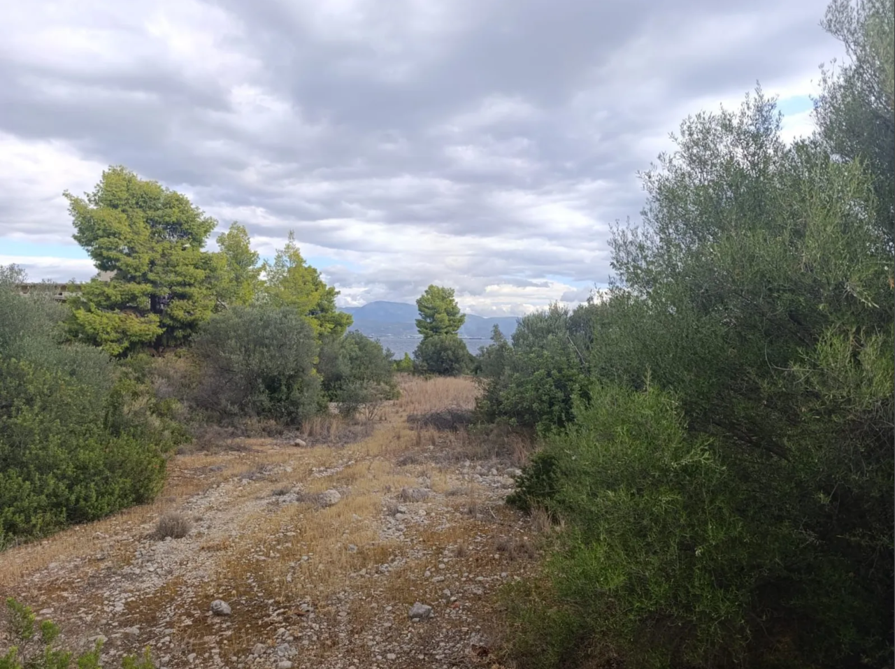 Земля в Коринфии, Греция, 4 820 м² - фото 9