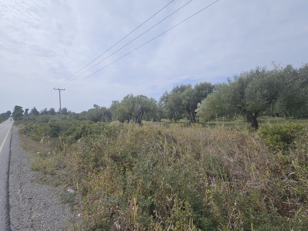 Земля на Кассандре, Греция, 5 100 м² - фото 4