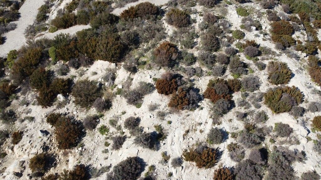 Земля на Халкидиках, Греция, 500 м² - фото 6