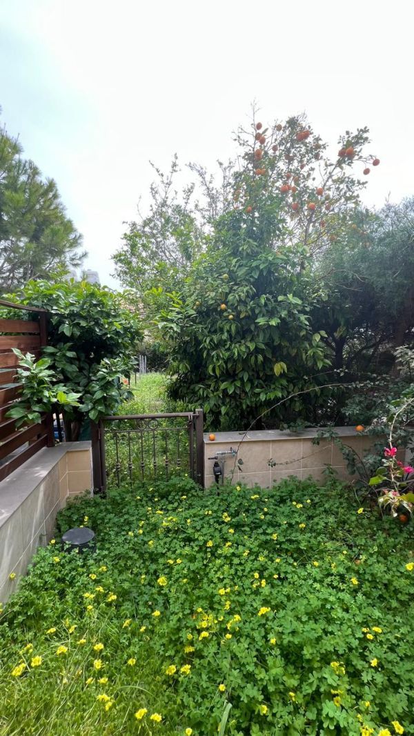 Таунхаус в Пафосе, Кипр, 104 м² - фото 2