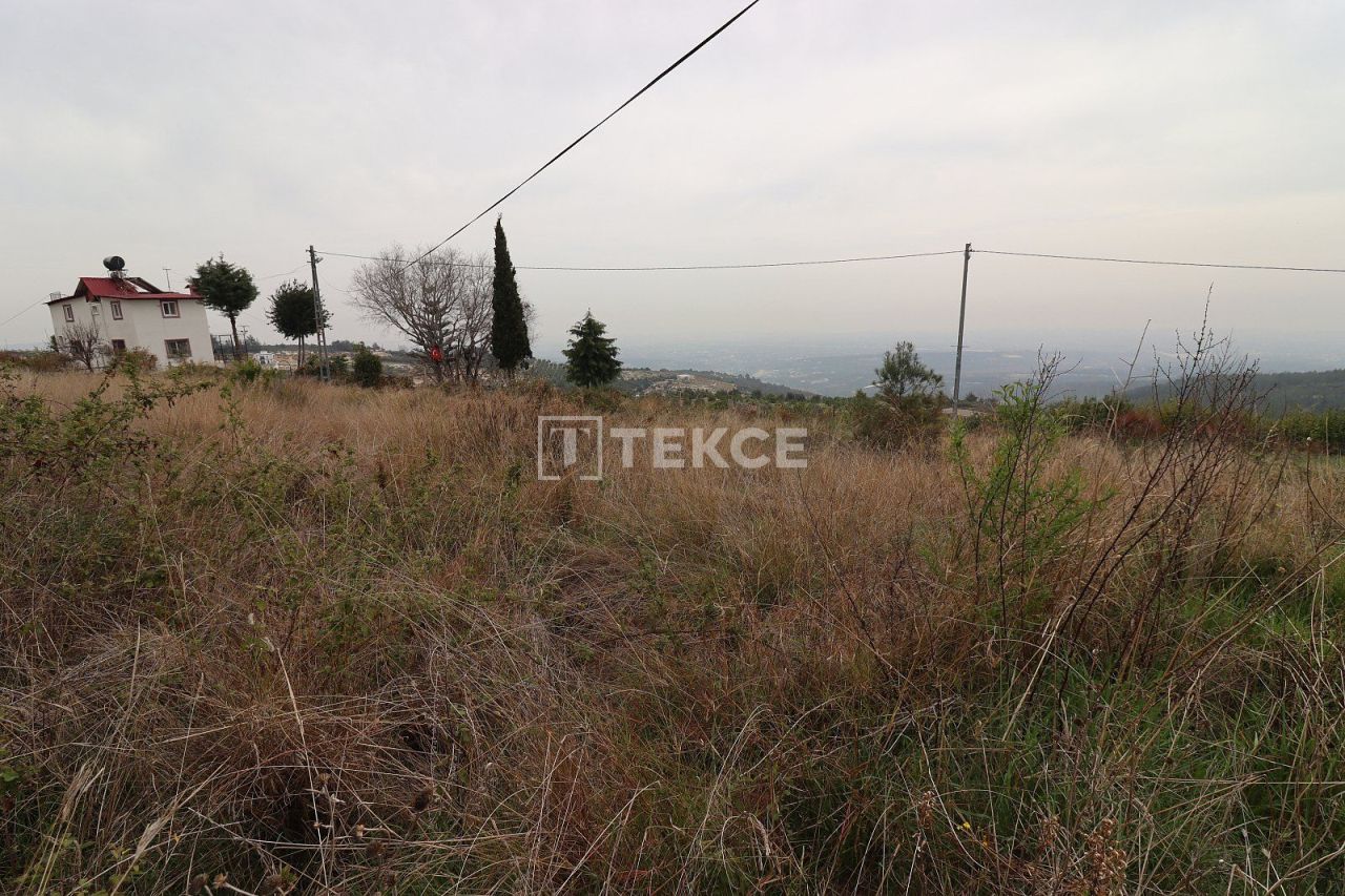 Земля Эрдемли, Турция, 1 501 м² - фото 3