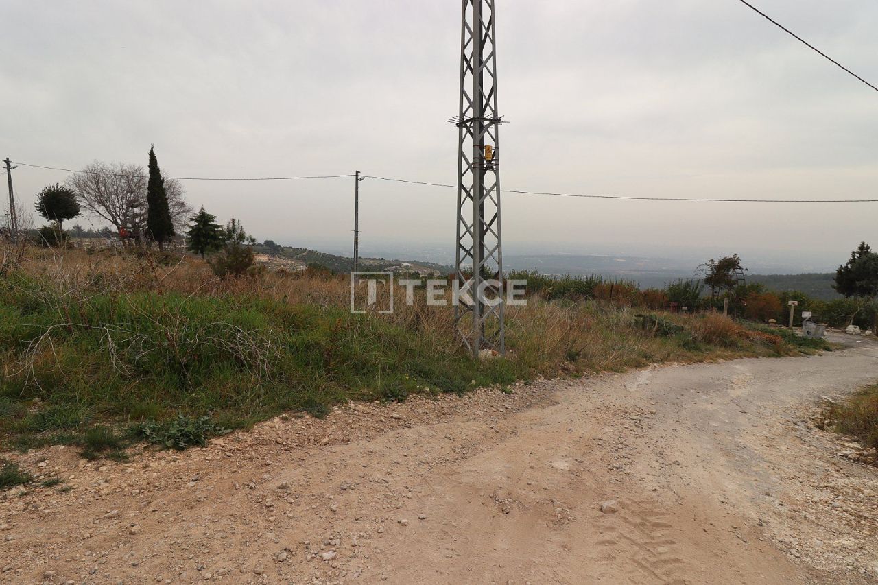 Земля Эрдемли, Турция, 1 501 м² - фото 4