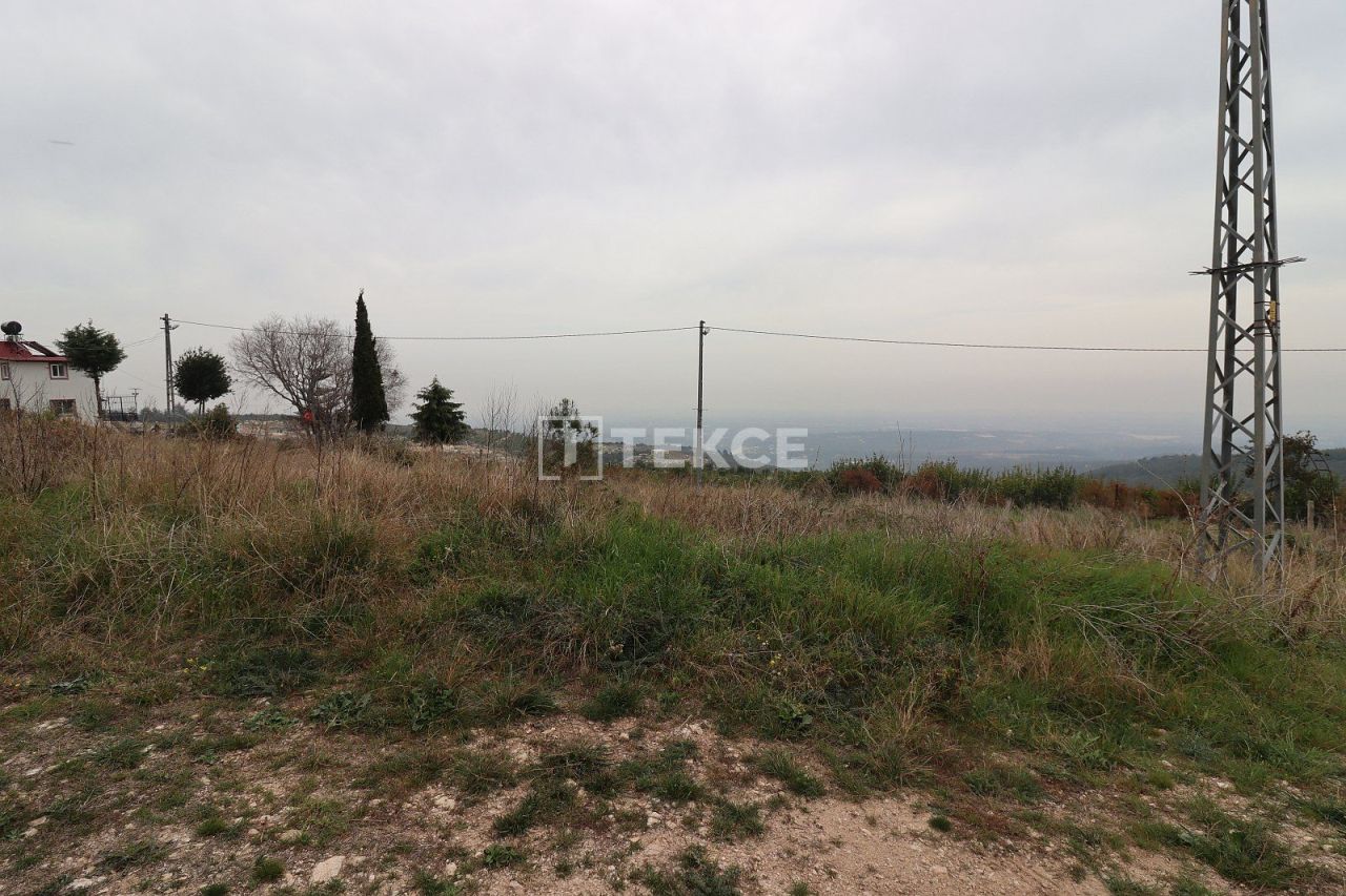 Земля Эрдемли, Турция, 1 501 м² - фото 6