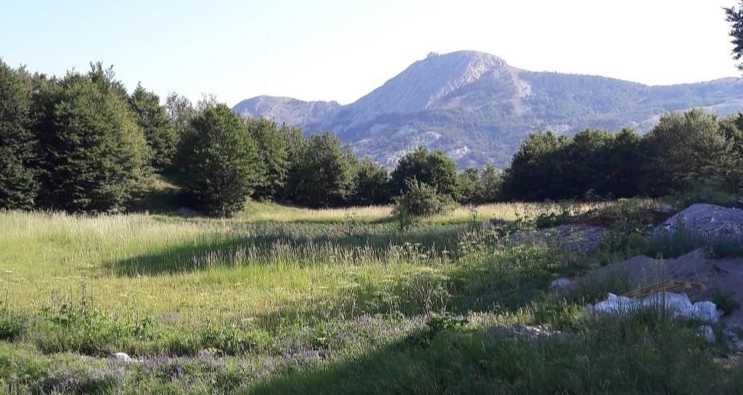 Земля в Цетине, Черногория, 4 269 м² - фото 2