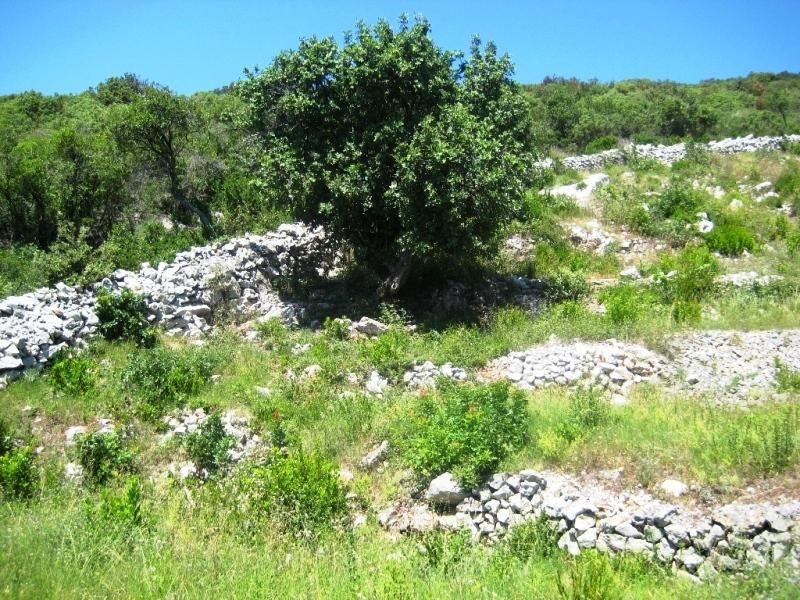 Земля в Бигово, Черногория, 3 268 м² - фото 2