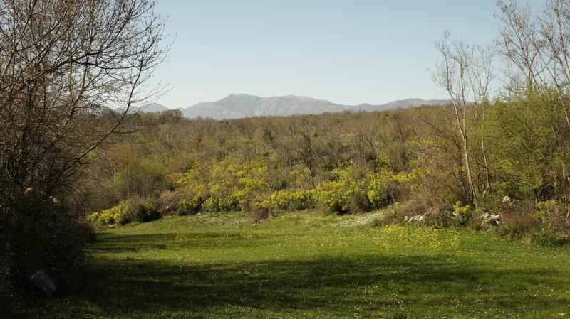 Земля в Улцине, Черногория, 20 290 м² - фото 2