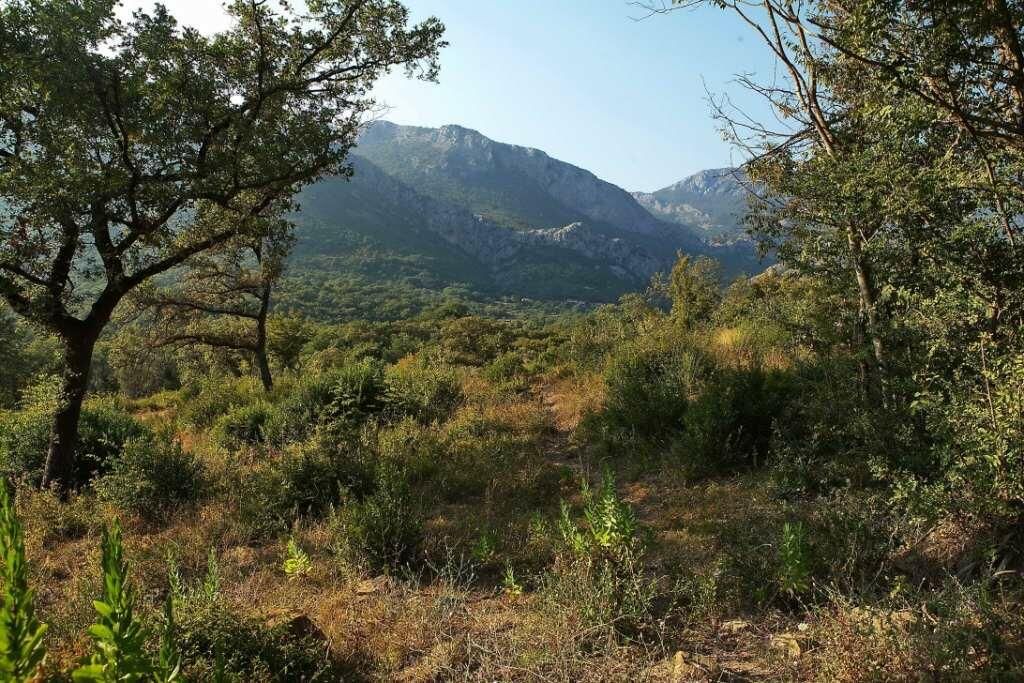 Земля в Баре, Черногория, 1 228 м² - фото 2