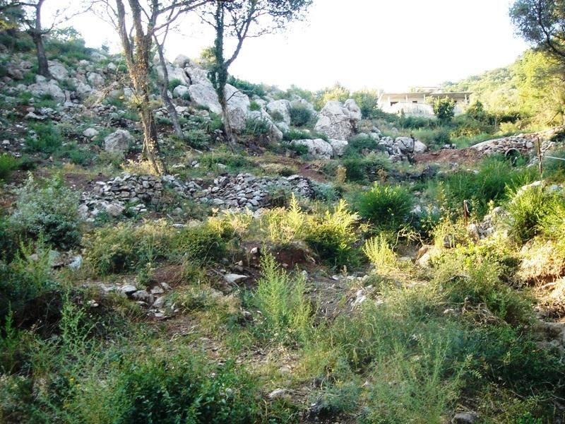 Земля в Шушани, Черногория, 4 028 м² - фото 2