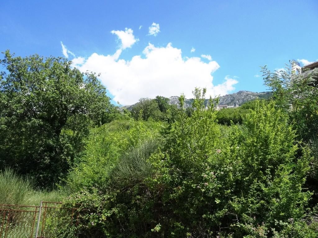 Земля в Будве, Черногория, 5 281 м² - фото 2