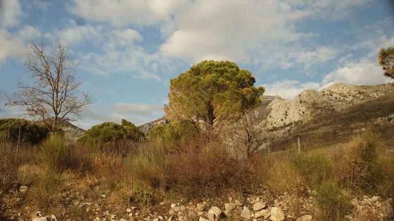 Земля в Баре, Черногория, 5 338 м² - фото 2