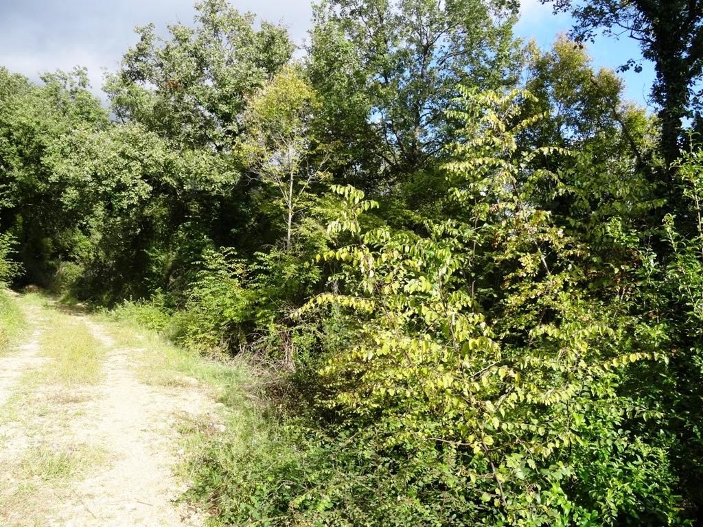 Земля в Херцег-Нови, Черногория, 24 585 м² - фото 2