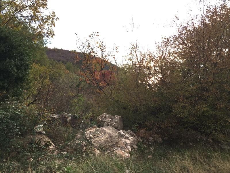 Земля в Пржно, Черногория, 16 974 м² - фото 2