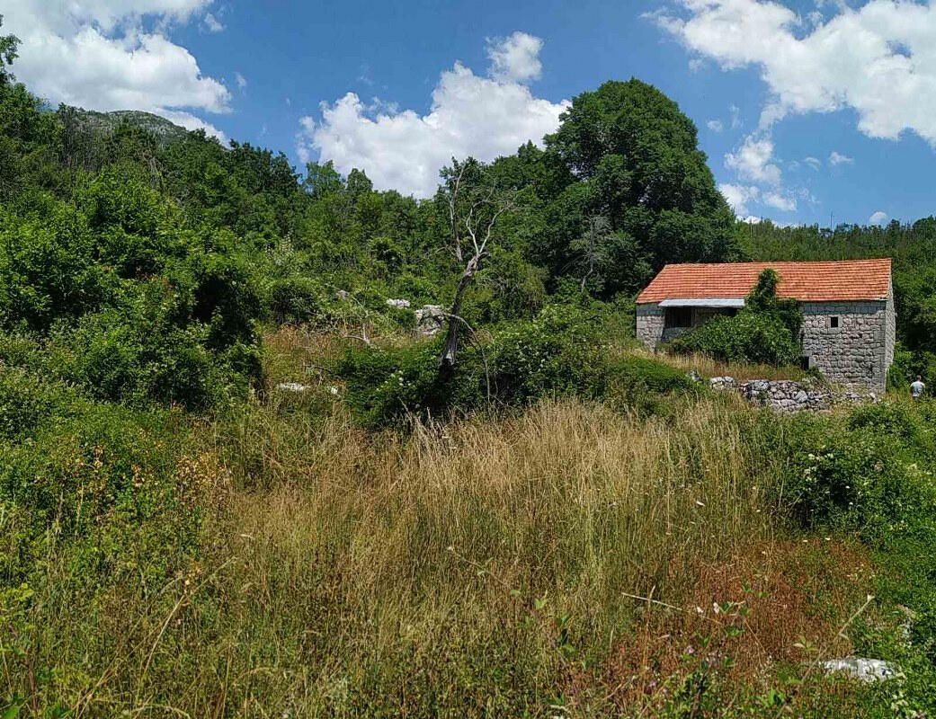 Дом в Цетине, Черногория, 64 м² - фото 3