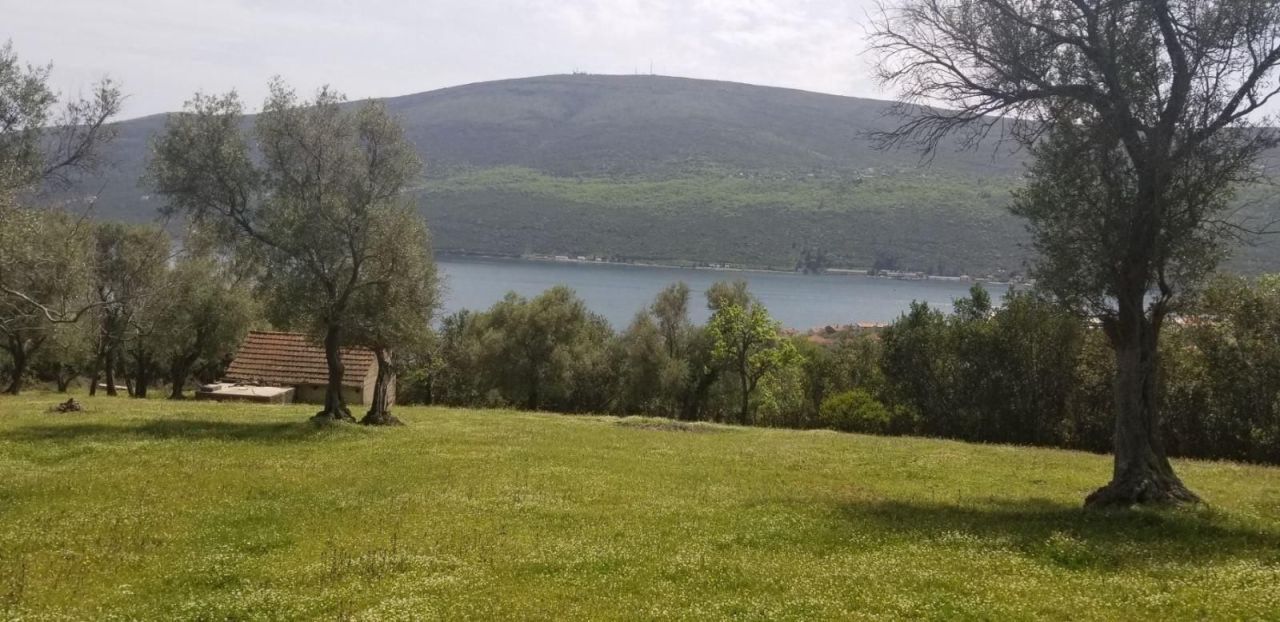 Земля в Дженовичах, Черногория, 7 560 м² - фото 3