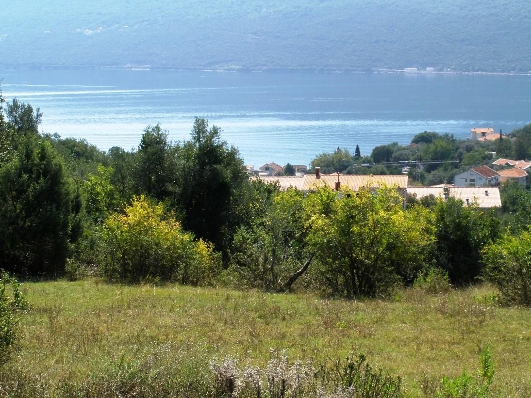 Земля в Дженовичах, Черногория, 2 518 м² - фото 3